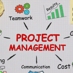 infografica sul project management